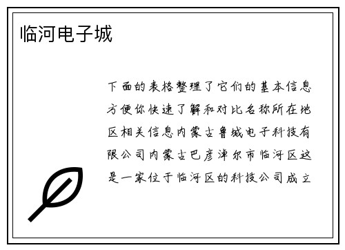 临河电子城